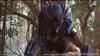 Predator: Hunting Grounds Review – Bottom of the Food Chain
