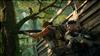 Predator: Hunting Grounds Review – Bottom of the Food Chain
